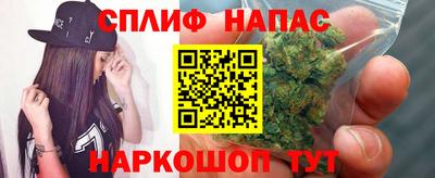 крисы Будённовск