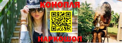 крисы Будённовск