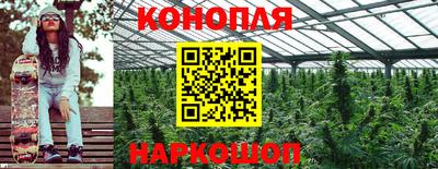 гидра Бузулук