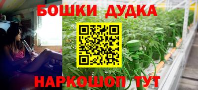 крисы Будённовск