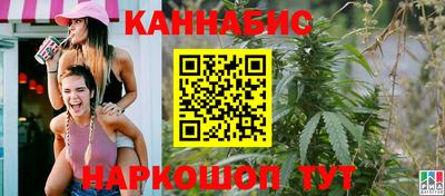 крисы Будённовск