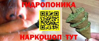 крисы Будённовск