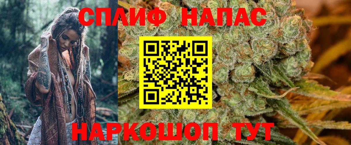 Каннабис Bruce Banner  МАРИХУАНА ГИДРОПОН  Шишки марихуана гибрид  Вход с VPN  Лесной  Марихуана Bruce Banner 